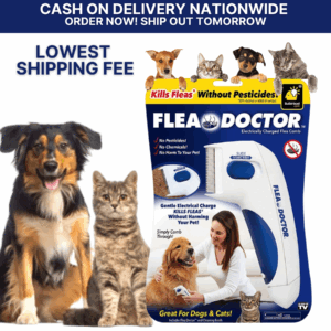 Electric Flea Cleaner Comb