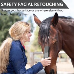 6-in-1 Shedding Grooming Massage Horses Brush