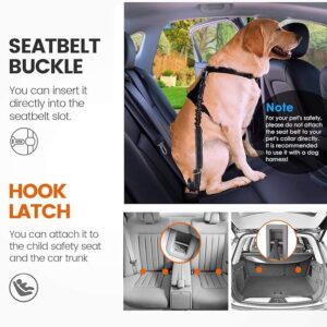 Dog Seat Belt