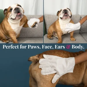NeuroLabs™ Pro Gloves — Clean your pup in 2 minutes