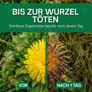 AEXZR® 3 in 1 Herbicide Maximum Performance