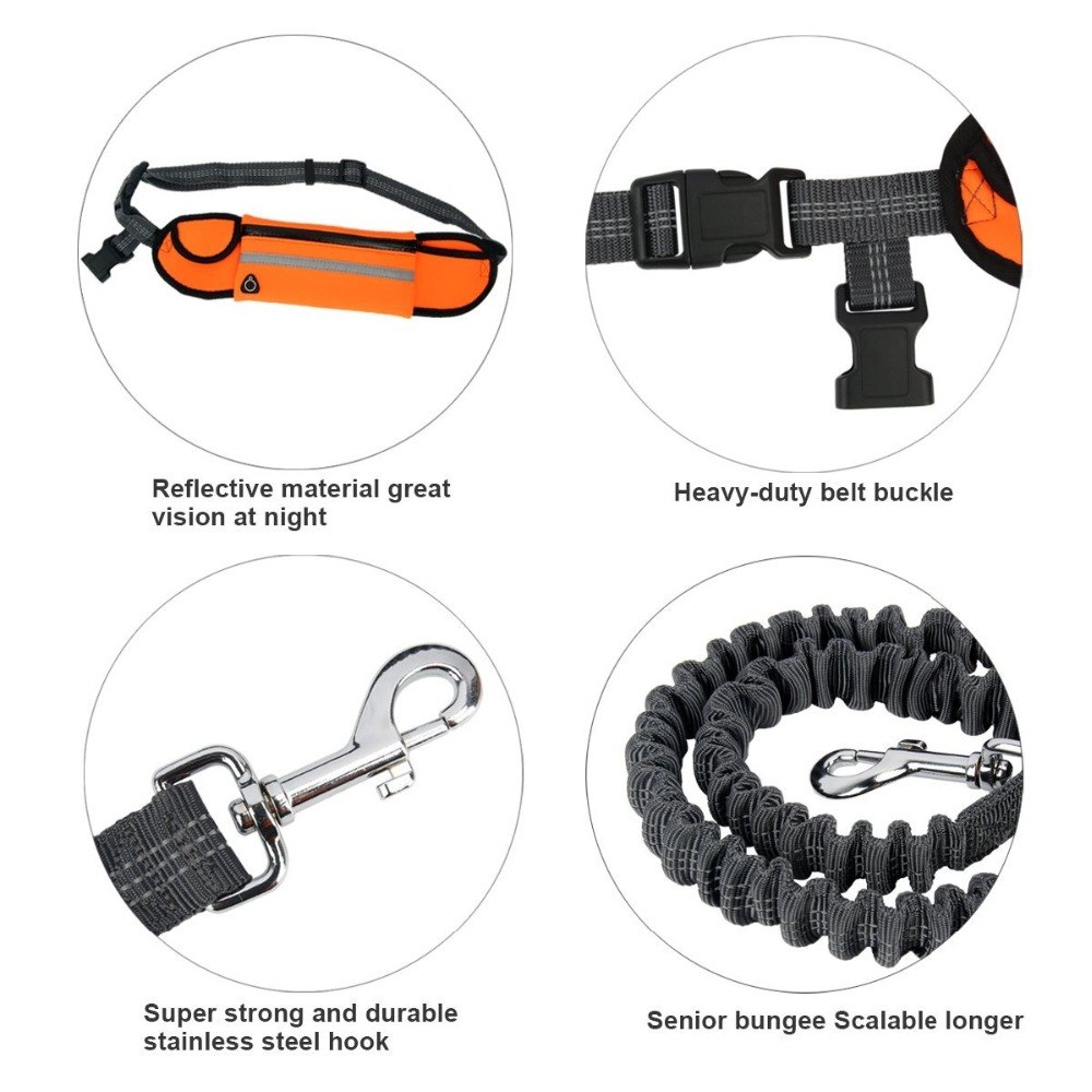 Handsfree Bungee Dog Leash - Image 3