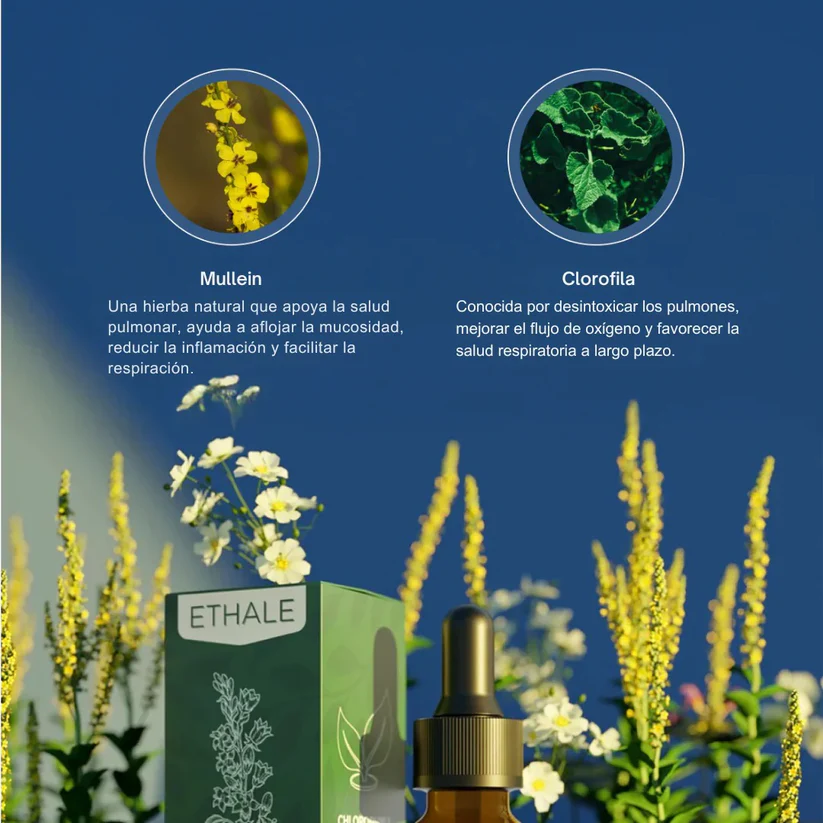 ETHALE® Lung Drops – Reboot your lungs and eliminate cough in 7 days