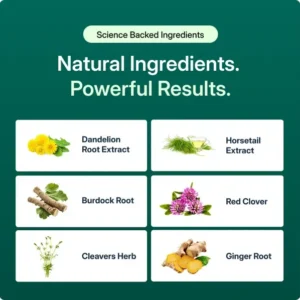 Belly In Just Days With Lymphatic Drainage