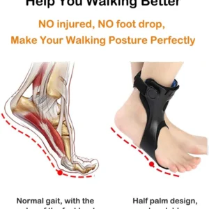 daily walking support brace