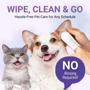 routine pet ear care