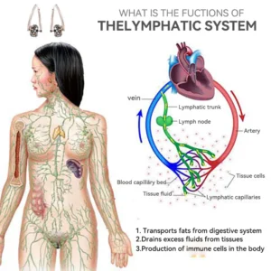 magnetherapy earrings for women