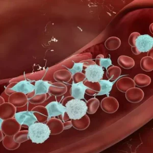 confidence focused body oil