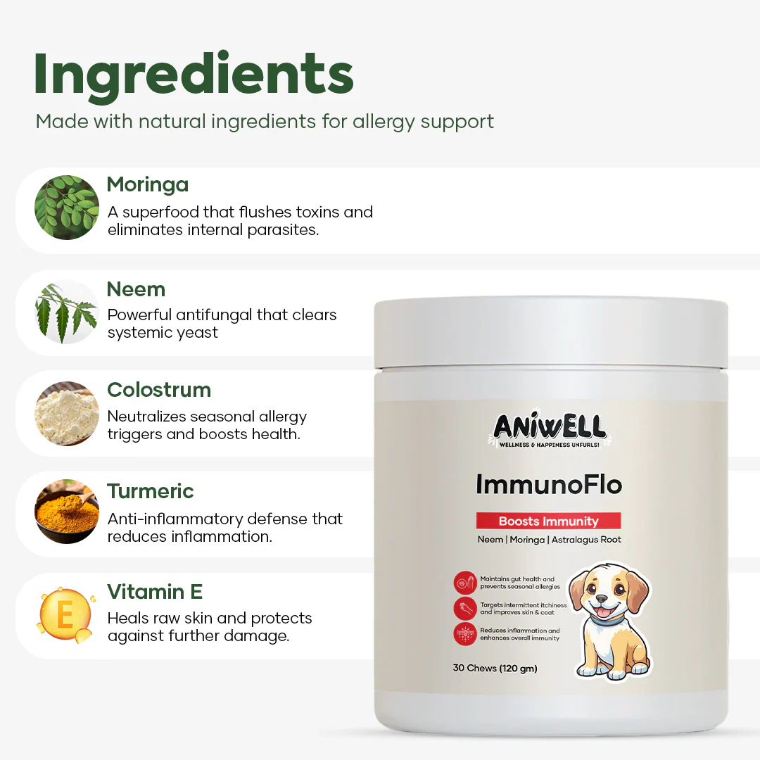 pet wellness lifestyle product