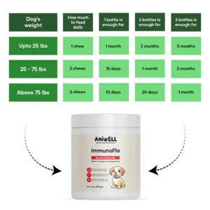 dog lifestyle care item